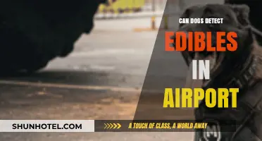 Dogs Sniffing Out Edibles: Airport Security's Secret Weapon?