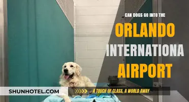 Orlando Airport: Are Dogs Allowed Inside?