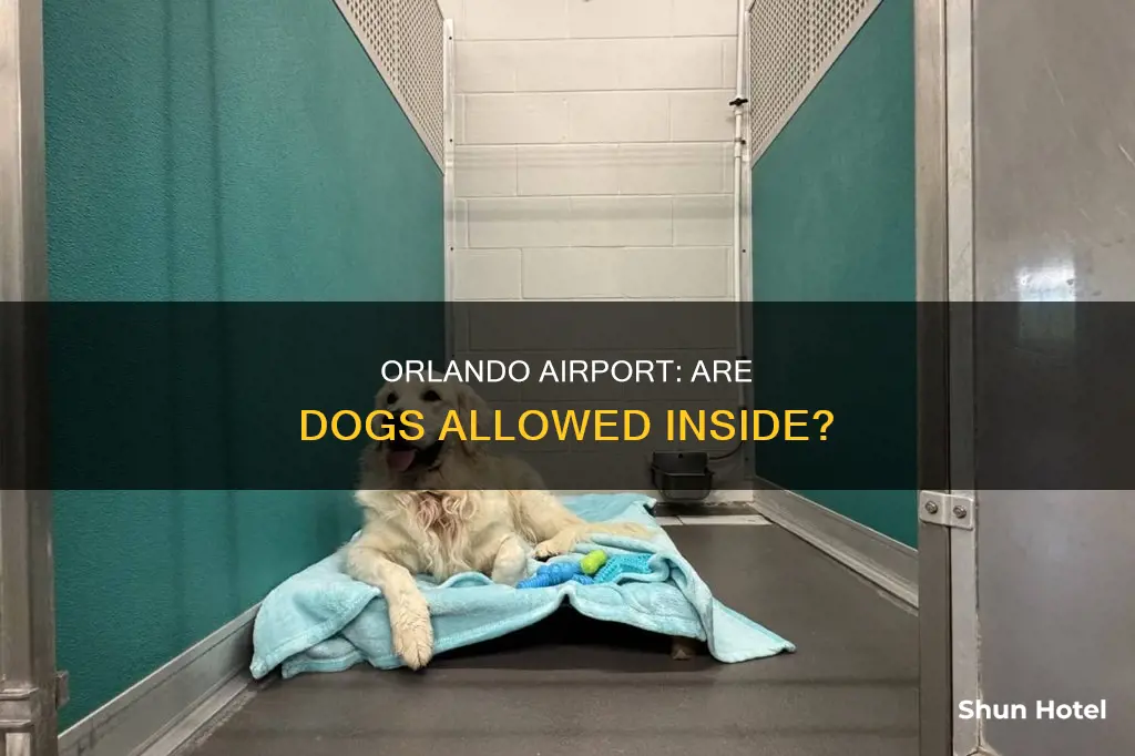 can dogs go into the orlando international airport