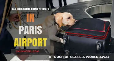 Dogs Sniff Out Gummy Edibles at Paris Airport