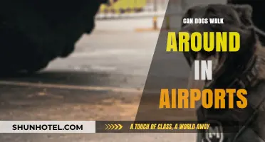 Airports: A Walk in the Park for Dogs?