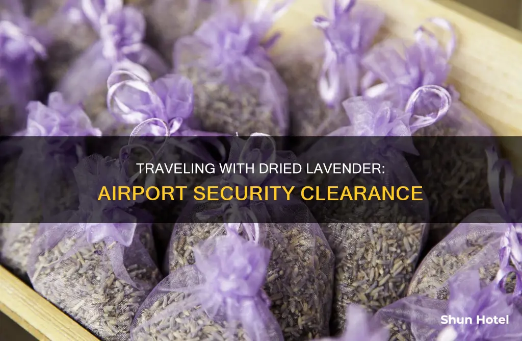 can dried lavender go through airport security