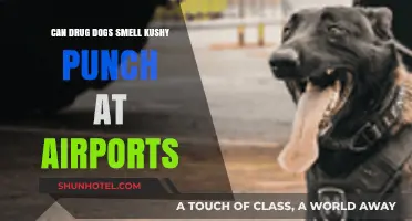 Drug Dogs and Kushy Punch: What's the Sniff at Airports?