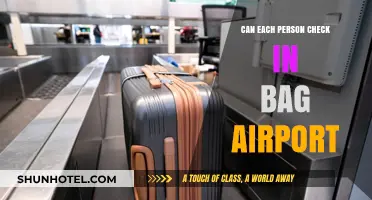 Checking Bags at the Airport: One Bag Per Person?