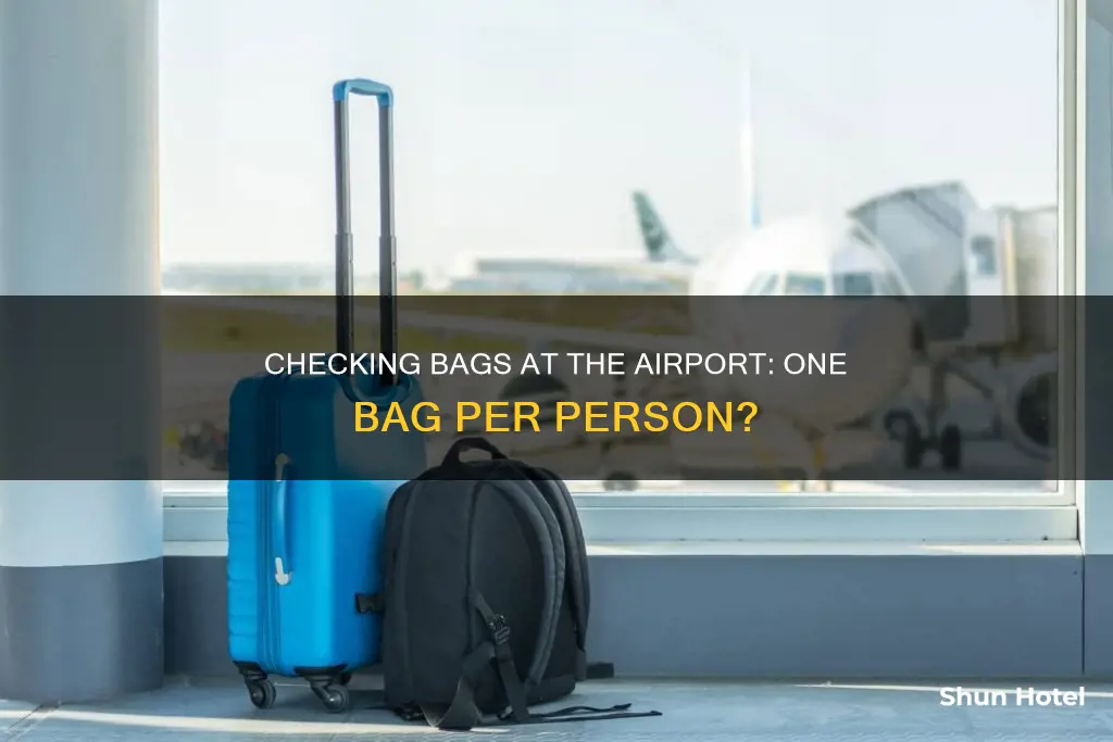 can each person check in bag airport