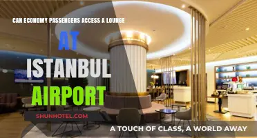 How Economy Fliers Can Access Istanbul Airport Lounges