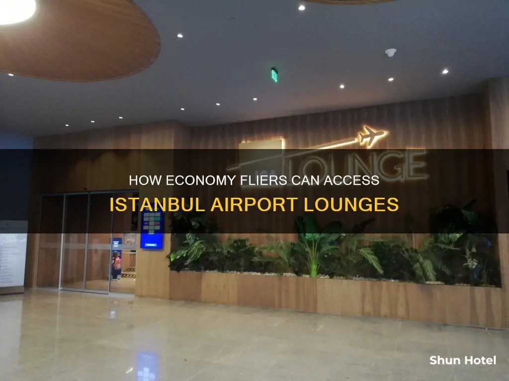 can economy passengers access a lounge at istanbul airport