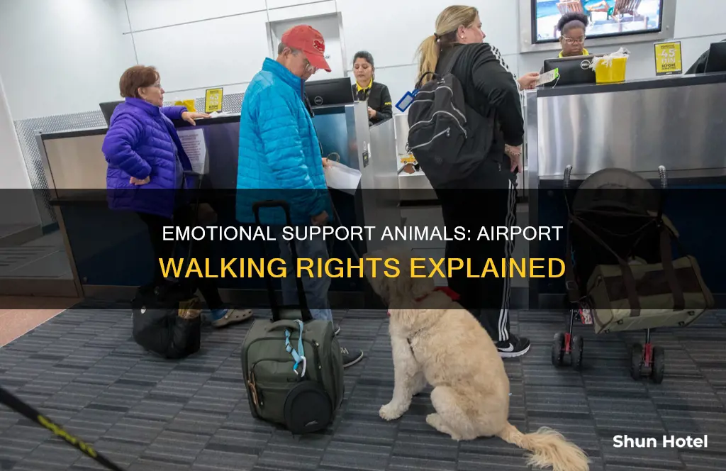 can emotional support animals walk around in airports