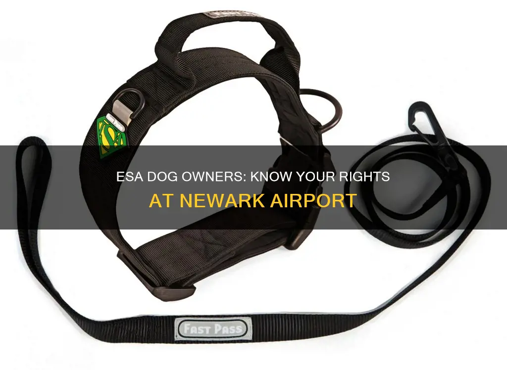 can esa dogs walk on a leash at newark airport