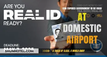 Expired IDs: Domestic Air Travel Woes