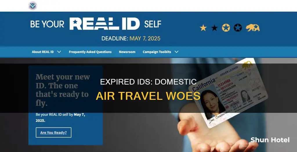 can expired government id be used at domestic airport