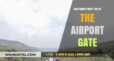 Airport Gate Meetings: Can Family Members Greet You?