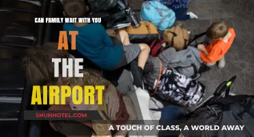 Family at the Airport: Who Can Wait with You?