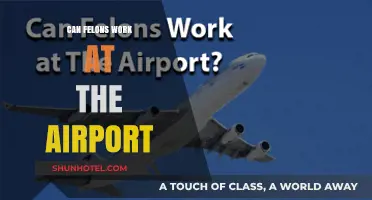 Working at the Airport: Felons and Their Opportunities