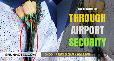 Flowers and Airport Security: What You Need to Know