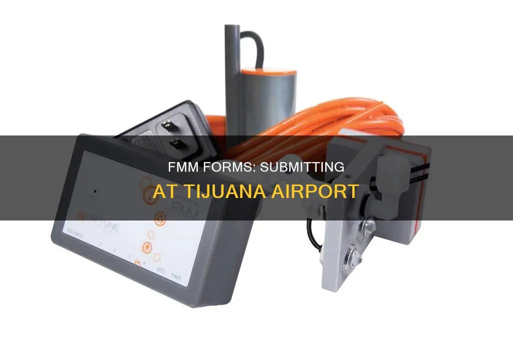 can fmm be turned in at tijuana airport