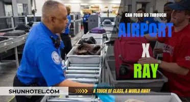 Airport X-rays: Can Food Pass Through?