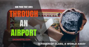 Travel Snacks: What Foods Can I Bring?
