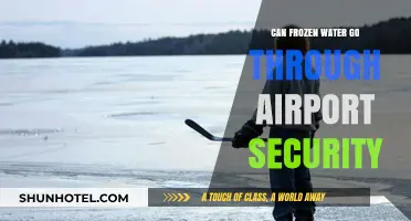 Airport Security and Frozen Water: What's Allowed?