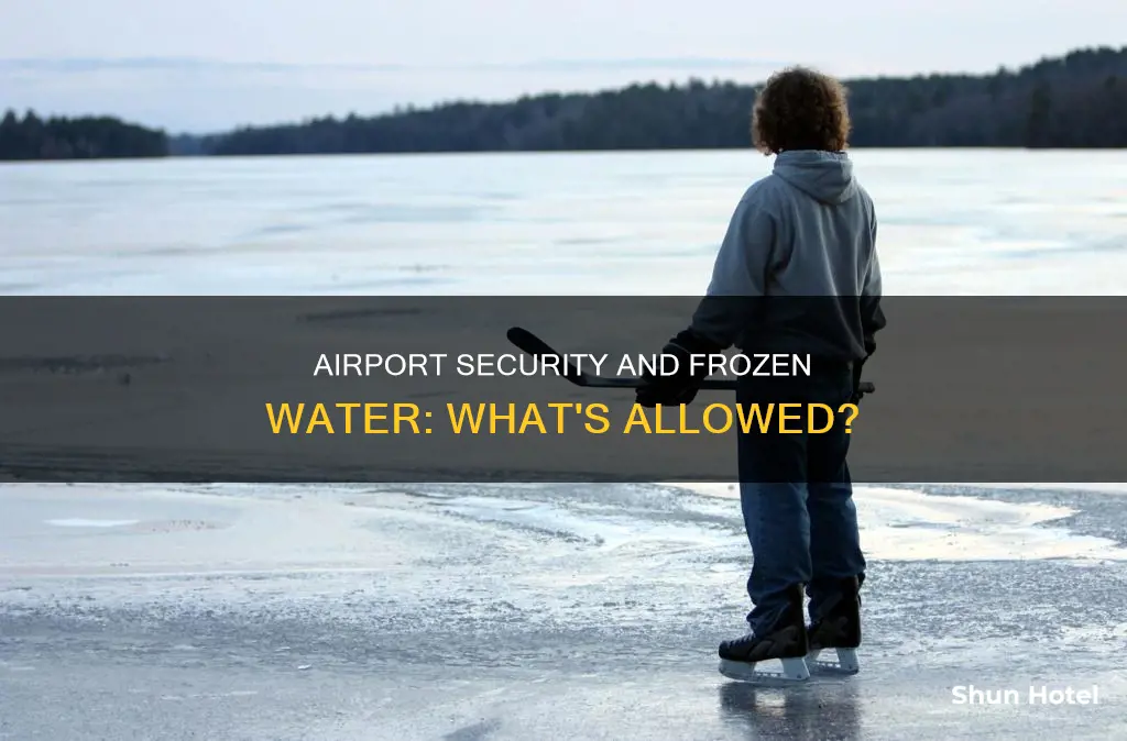 can frozen water go through airport security