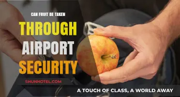 Airport Security: What Fruits Can You Bring?