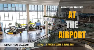 Reopening Airport Gates: Is It Possible?