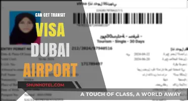 Dubai Airport Transit Visa: Can You Get One?