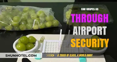 Traveling with Grapes: Airport Security Rules