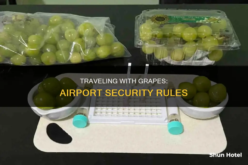 can grapes go through airport security