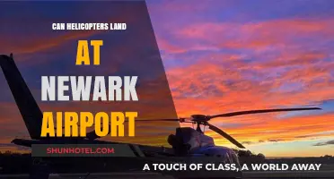 Helicopters Landing at Newark Airport: Is It Possible?