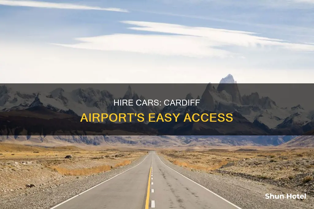 can hire cardiff airport
