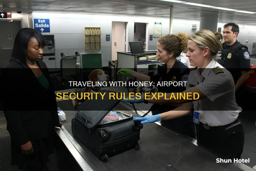can honey go through airport security