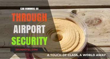 Hummus and Airport Security: What You Need to Know