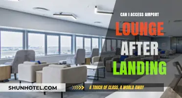 Exploring Post-Landing Airport Lounge Access