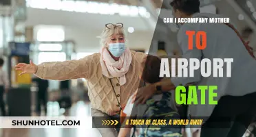 Airport Gate Companion: Can I Accompany Mom?