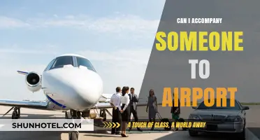 How to Be a Great Airport Companion