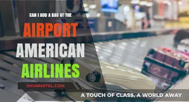 How to Add a Bag at the Airport with American Airlines