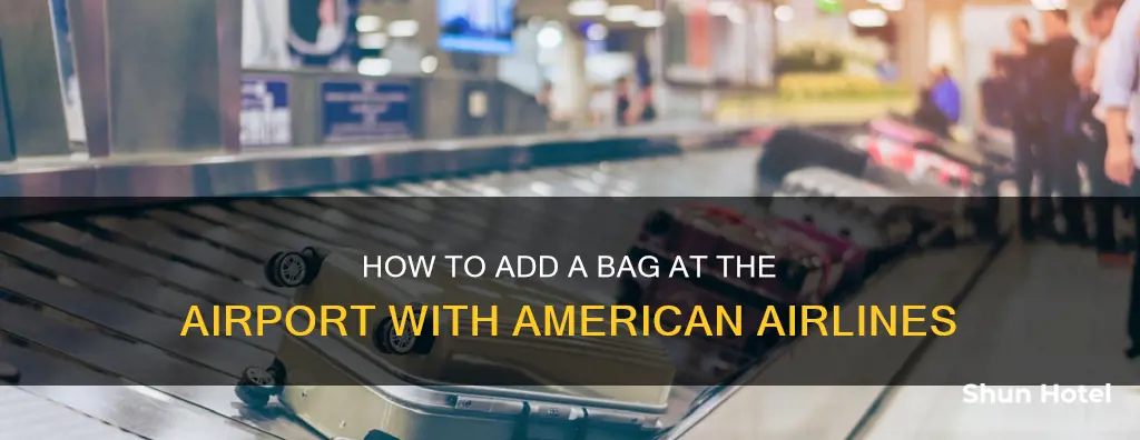 can i add a bag at the airport american airlines