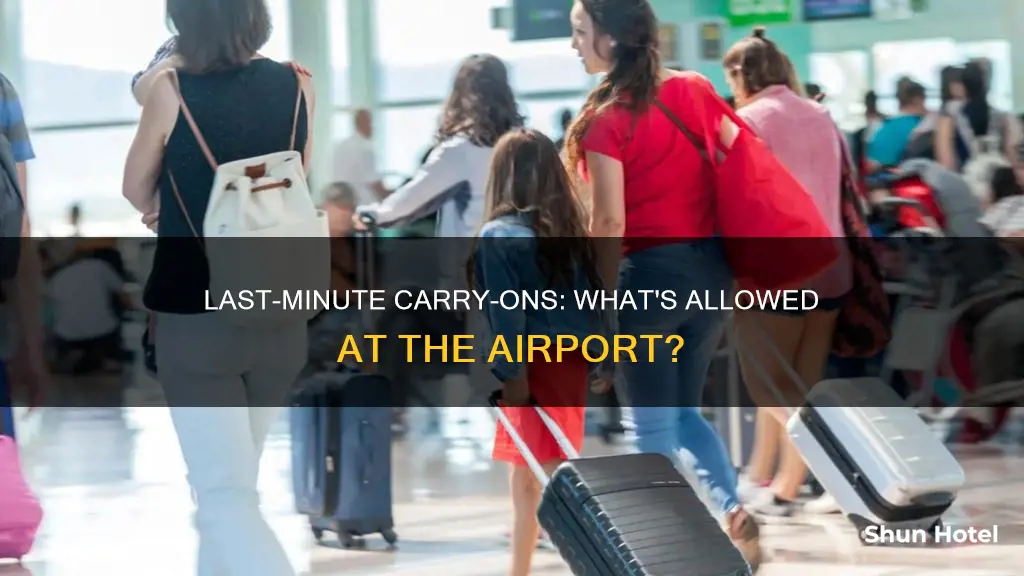 can i add a carry on at the airport