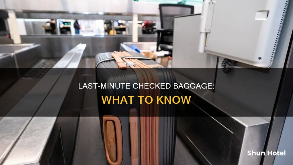 can i add a check inn bag at the airport