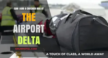 How to Add Checked Bags at the Airport with Delta