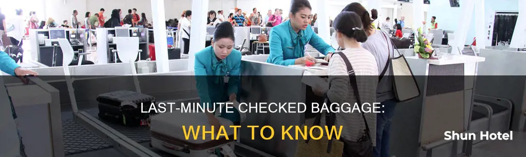 can i add a checked bag at the airport