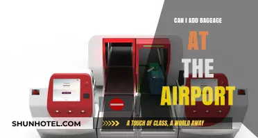 Last-Minute Baggage: Adding at the Airport