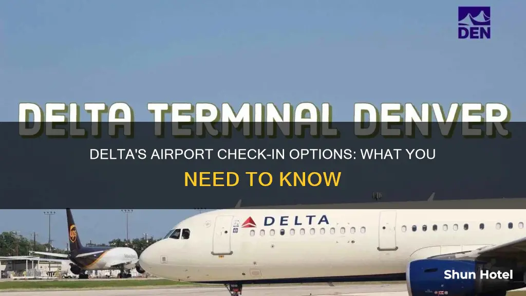 can i add check in at the airport delta