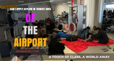 Asylum at Airports: Transit Area Applications