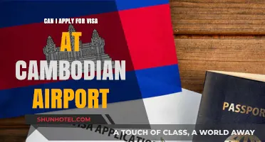 Applying for a Cambodian Visa: Airport Edition