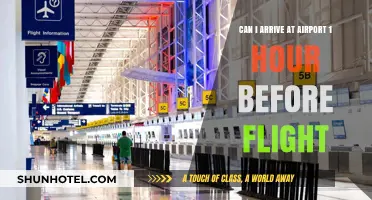 Last-Minute Arrival: One Hour Before Flight Takeoff?