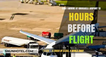 Arriving early at Brussels Airport: How early is too early?