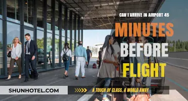 Arriving 45 Minutes Before Your Flight: Possible or Not?