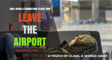 Exploring Layovers: Leaving the Airport Between Flights